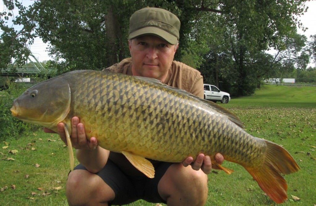 A nice 22lb Common