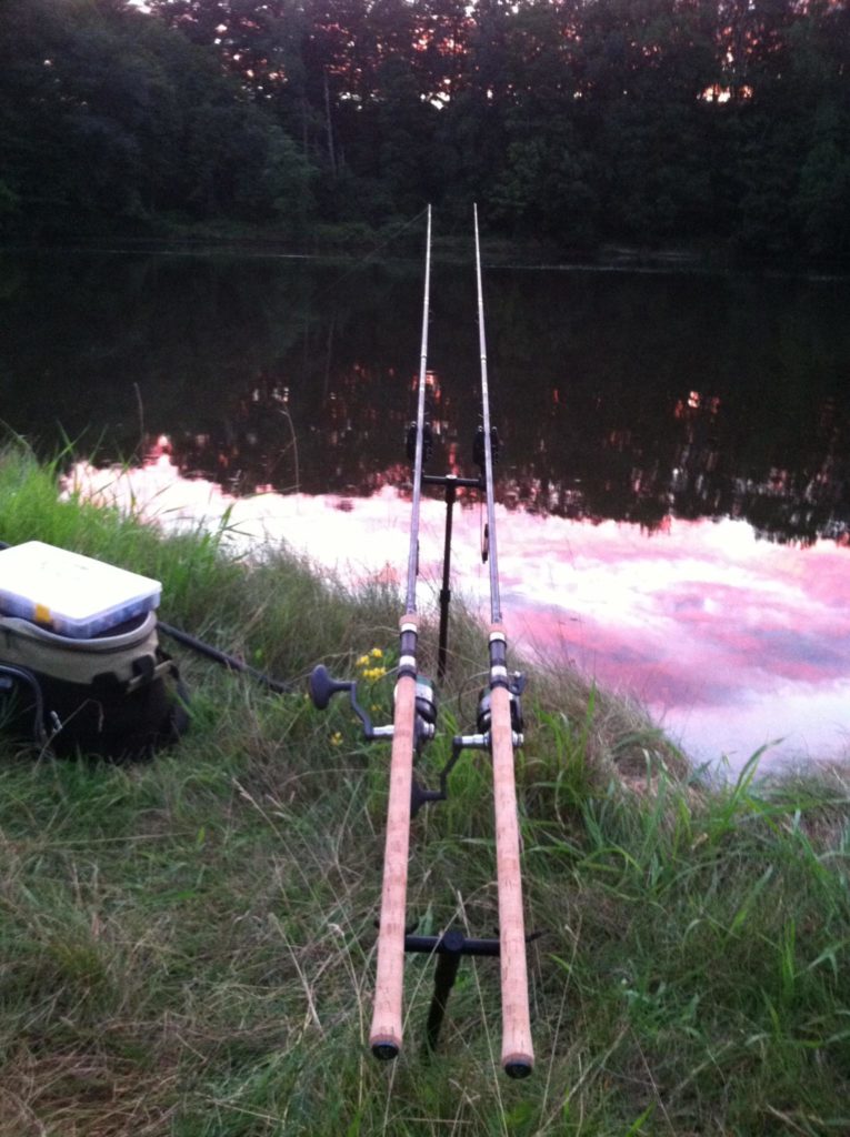 carp rods