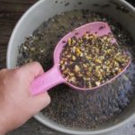 Basic Particle mix to which I added several handfuls of Tiger Nuts