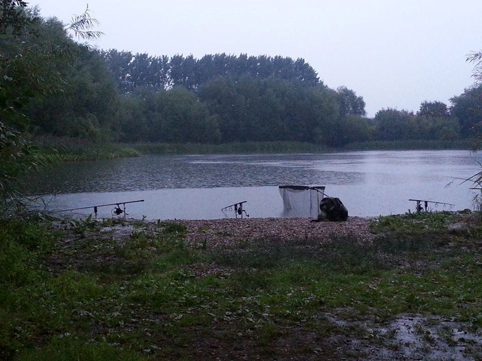 Rods spread around the area for maximum coverage