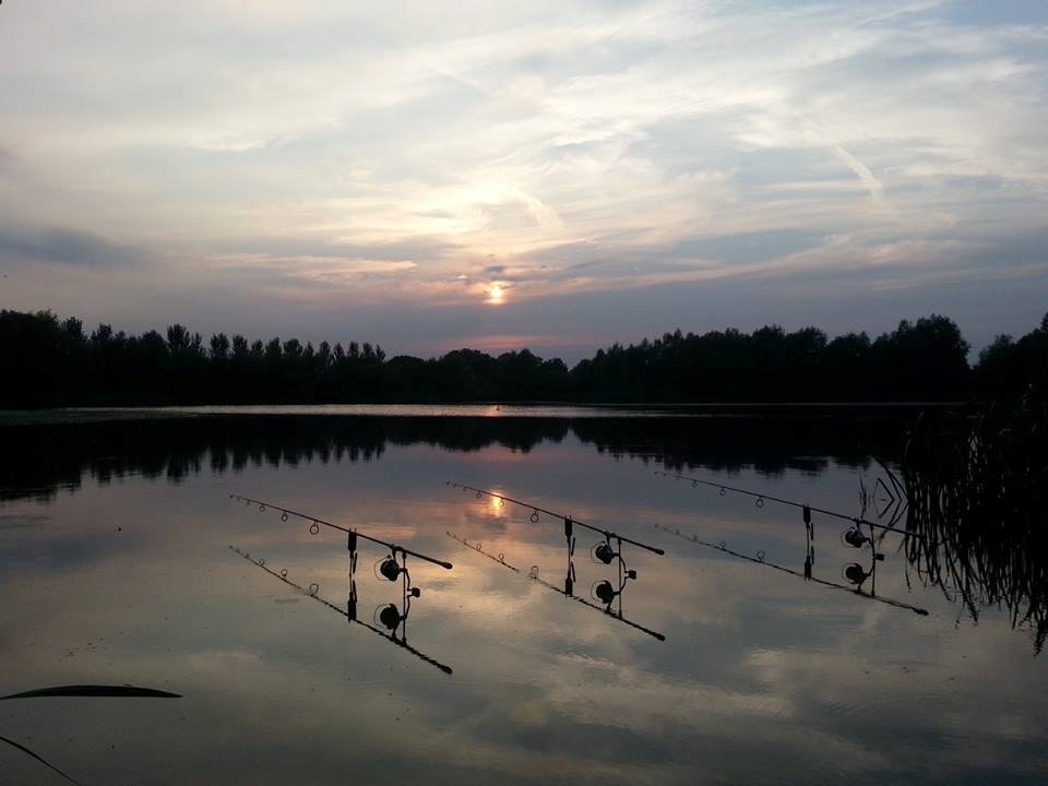 Rods in place at sunset