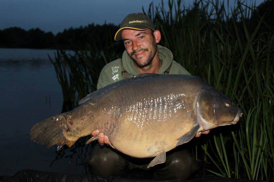 Snub Nose - A proper character fish