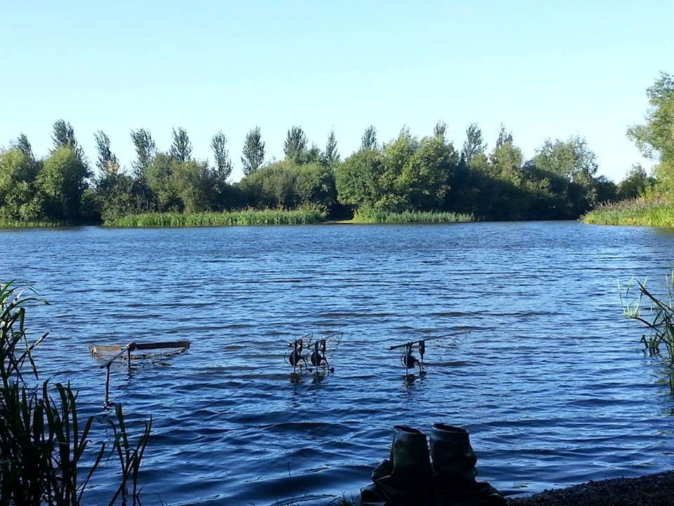 Lake of Dreams: Awaiting action - Would the fish respond?