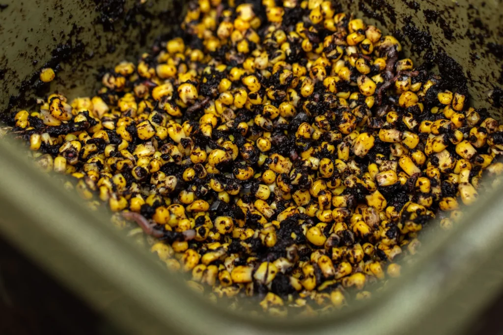 Unleash Your Inner Bait Whisperer: The Golden Grains: add chopped worm to your sweetcorn bait