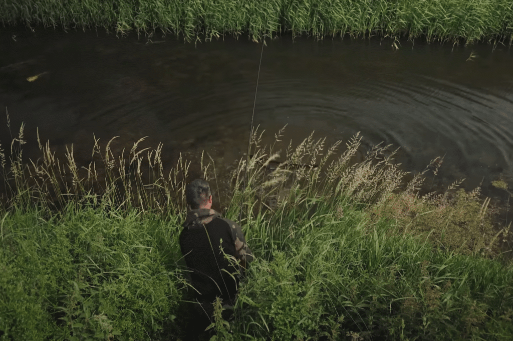 carp from a ditch