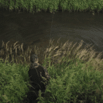 carp from a ditch